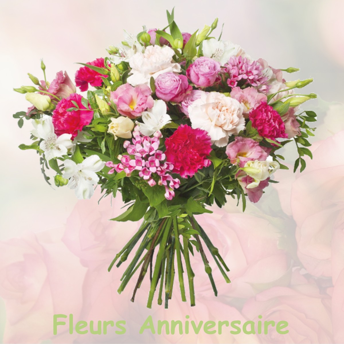 fleurs anniversaire AULNOY-SUR-AUBE